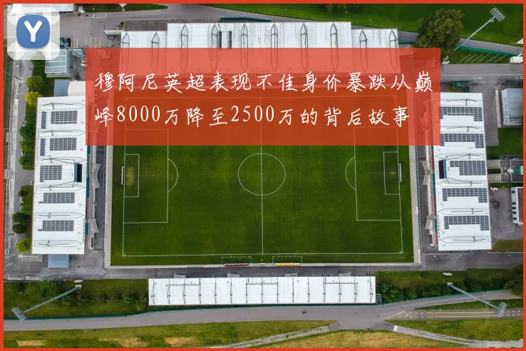 穆阿尼英超表现不佳身价暴跌从巅峰8000万降至2500万的背后故事