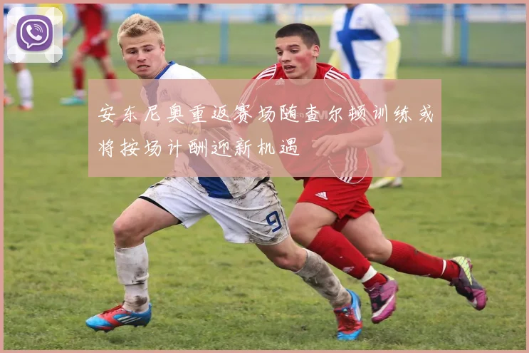 安东尼奥重返赛场随查尔顿训练或将按场计酬迎新机遇