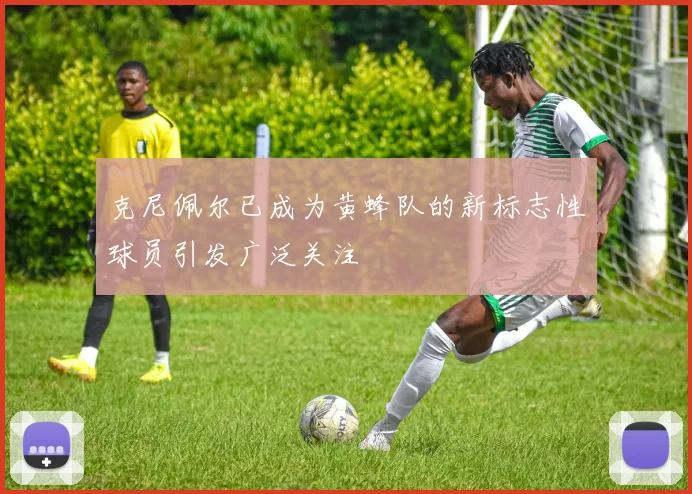 克尼佩尔已成为黄蜂队的新标志性球员引发广泛关注